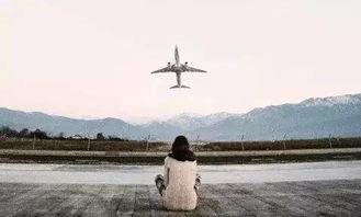 弃我者不可攀,终将无法攀上巅峰之路  第2张