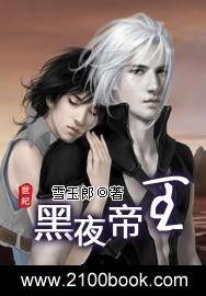 黑夜帝王掌心宠,暗夜之恋的宫廷传奇  第2张
