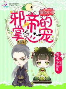 黑夜帝王掌心宠,暗夜之恋的宫廷传奇  第3张