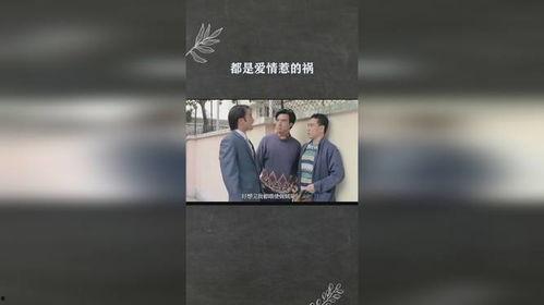 都是爱情惹的祸,揭秘“都是爱情惹的祸”背后的情感漩涡  第2张