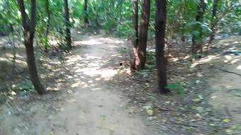 快活林,探寻人间仙境的隐秘角落  第2张