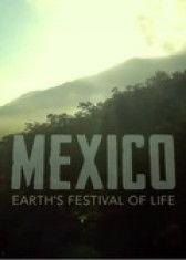 墨西哥：地球生命的狂欢,地球生命的狂欢盛宴  第2张