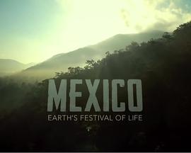 墨西哥：地球生命的狂欢,地球生命的狂欢盛宴  第3张