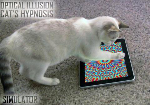 催眠 2021,2021年催眠领域最新进展与未来展望 第3张 催眠 2021,2021年催眠领域最新进展与未来展望 第3张