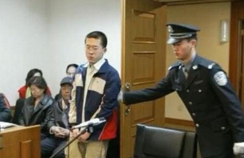 我亲自出庭为儿子辩护,一场充满爱与责任的辩护之旅  第1张